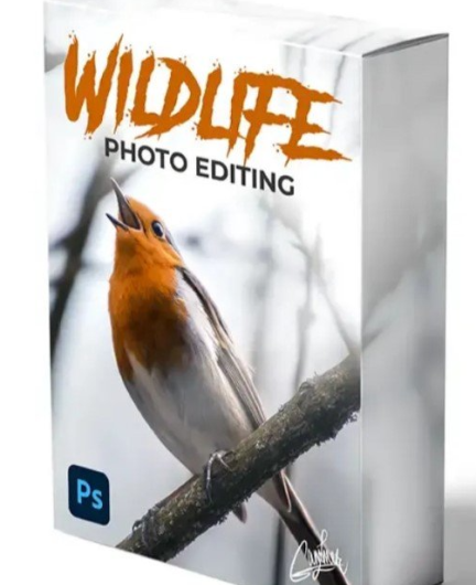 Скачать с Яндекс диска Zenja Gammer – Wildlife Photo Editing Course