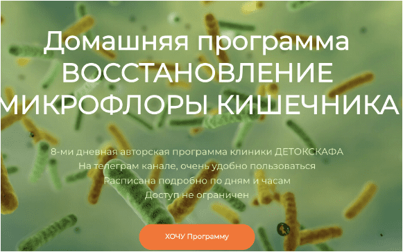 Домашняя программа восстановления микрофлоры кишечника — Кауфман (2024)
