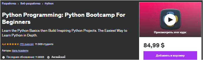 Программирование на Python: курс Python Bootcamp для начинающих — udemy (2023)