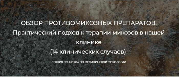 Обзор противомикозных препаратов. Лекция №4 цикла по медицинской микологии — Кауфман (2024)