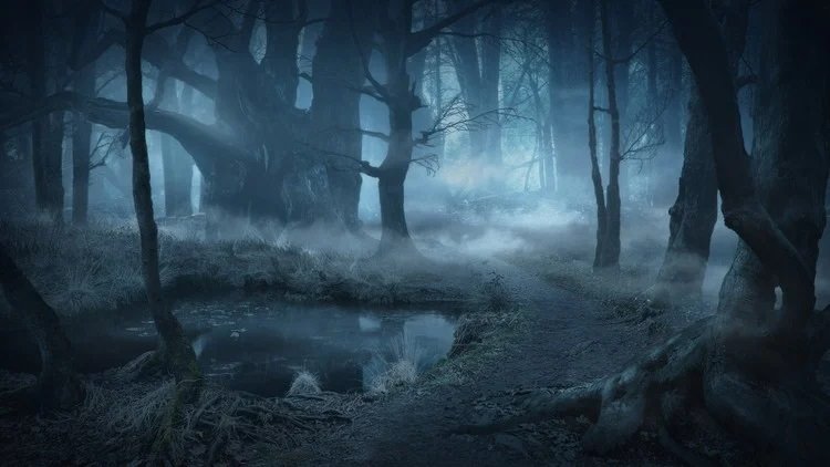 Udemy – Create a Misty Forest Matte Painting in Photoshop